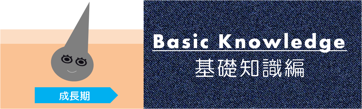 メンズ脱毛基礎知識(毛周期とメンズ脱毛・男性脱毛)