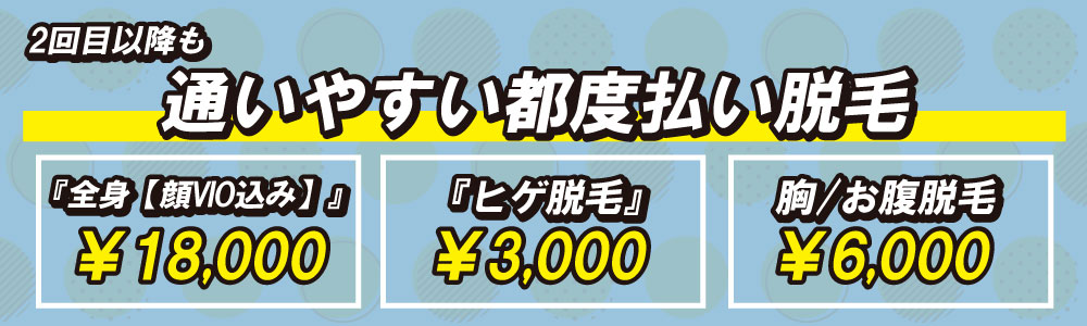 札幌手稲　都度払いメンズ脱毛メニュー表