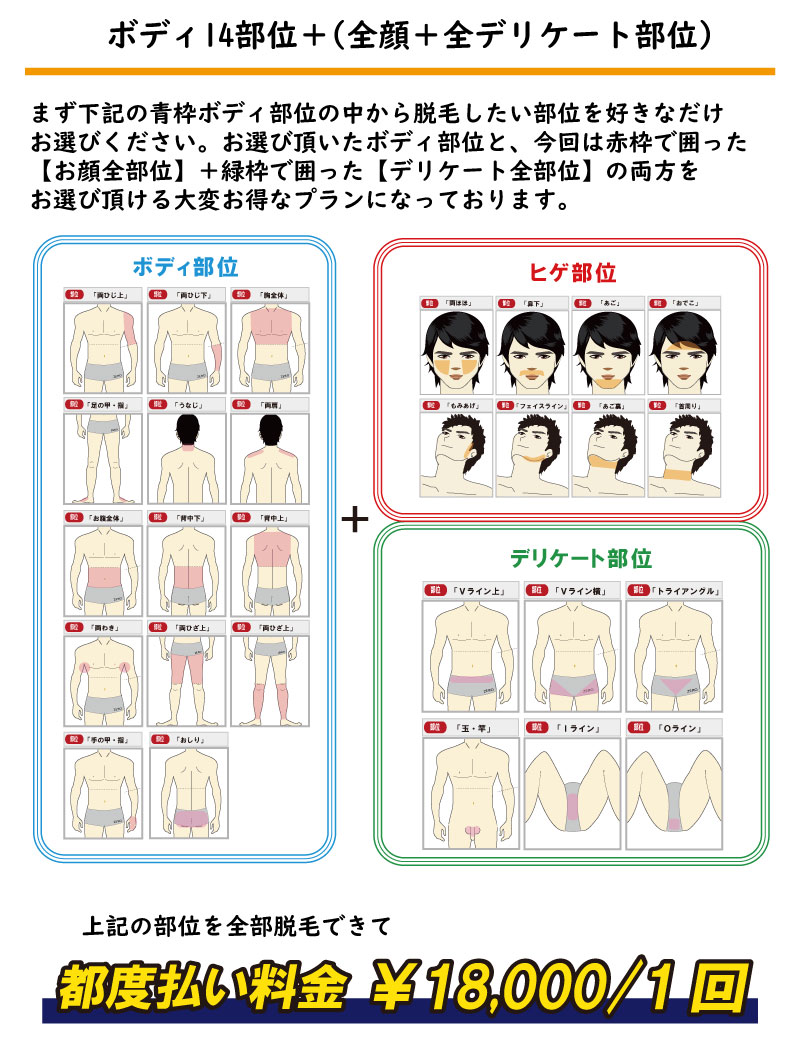 上記の部位を全部脱毛できてボディ14部位＋(全顔＋全デリケート部位)まず下記の青枠ボディ部位の中から脱毛したい部位を好きなだけ お選びください。お選び頂いたボディ部位と、今回は赤枠で囲った 【お顔全部位】＋緑枠で囲った【デリケート全部位】の両方を お選び頂ける大変お得なプランになっております。都度払い価格 ￥16,000/1回、地域最安値