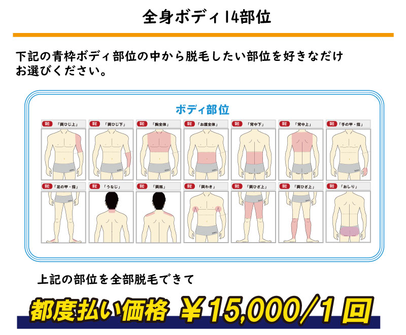 上記の部位を全部脱毛できて全身ボディ14部位下記の青枠ボディ部位の中から脱毛したい部位を好きなだけ お選びください。都度払い価格 ￥15,000/1回